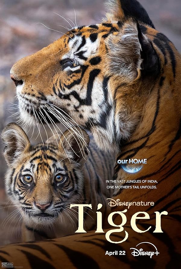 دانلود فیلم Tiger / ببر