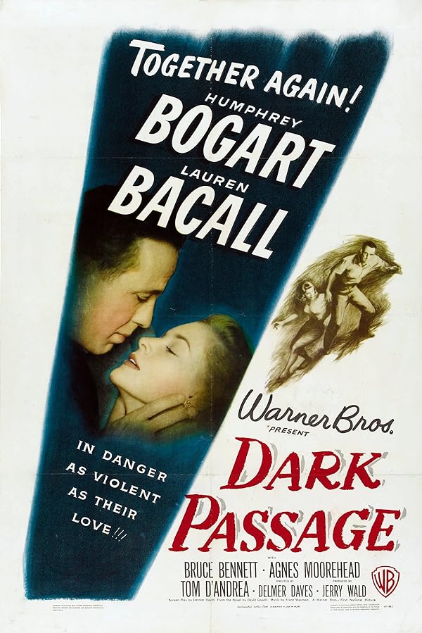 دانلود فیلم Dark Passage / گذرگاه تاریک