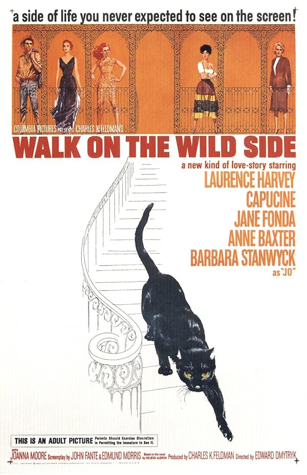 دانلود فیلم Walk on the Wild Side / در سمت وحشی قدم بزن