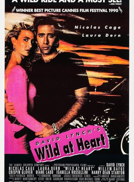 دانلود فیلم Wild at Heart / از ته دل وحشی